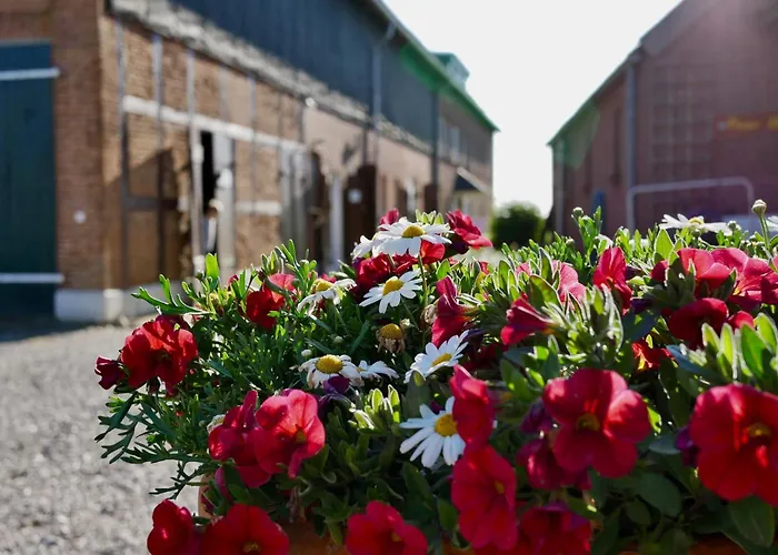 Knusthof Lafrenz - Süd *